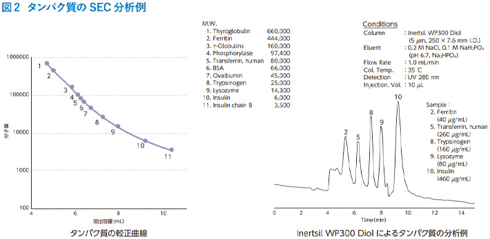 図 2 タンパク質の SEC 分析例