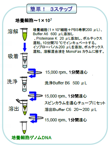 精製操作手順の図