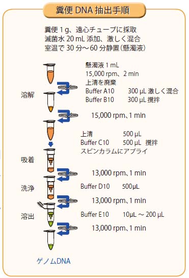 DNA抽出手順の図