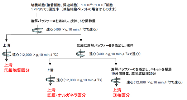 基本操作方法のフロー図