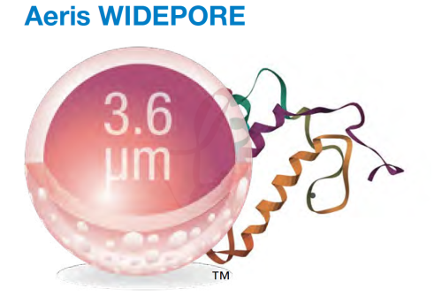 Aeris WIDEPOREの画像