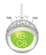 WIDEPORE XB-C8の画像