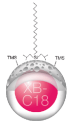 PEPTIDE XB-C18の画像