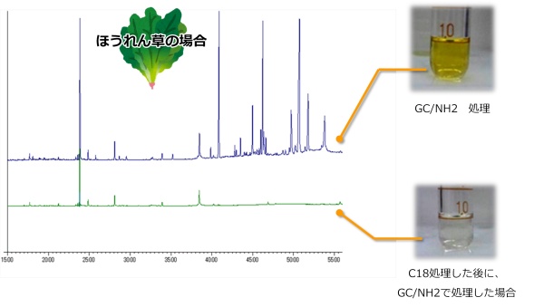 ほうれん草抽出液（農薬未添加）をInertSep GC/NH2でクリーンアップカラムした液と、InertSep C18とInertSep GC/NH2でクリーンアップした液の比較図