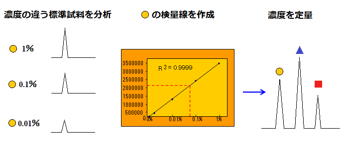 定量分析の図解