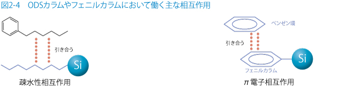 図2-4　ODSカラムやフェニルカラムにおいて働く主な相互作用