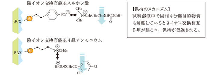 イオン交換相互作用の原理の画像
